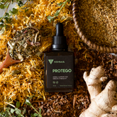 Protego Tincture: Liquid Herbal Extract